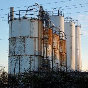 Tanks in Early Evening Light