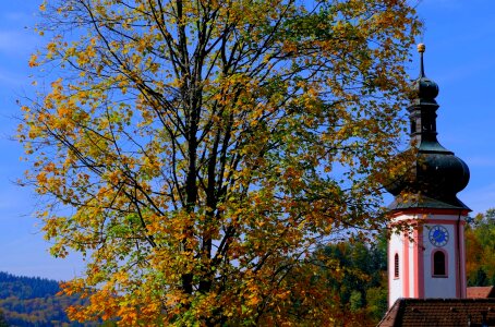 Tower building autumn