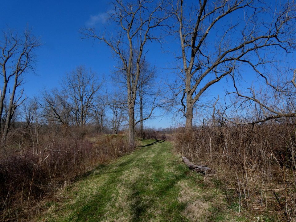 Walnut Valley Realm