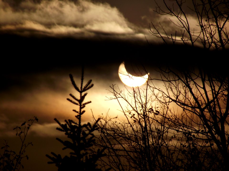 SNF TofteRangerDistrict FC102314 solar eclipse
