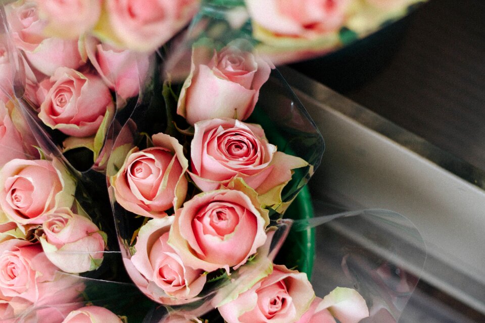Flowers bouquet rose wallpaper