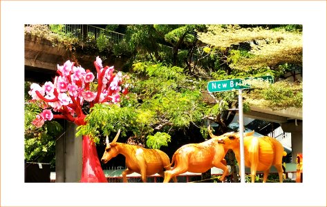 Lunar new year is coming - street decorations