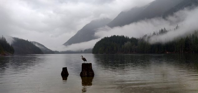 Misty Buntzen Lake