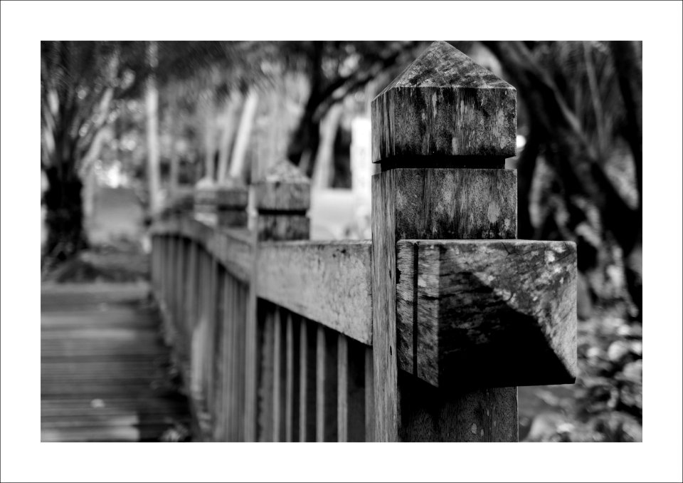 The wooden bridge