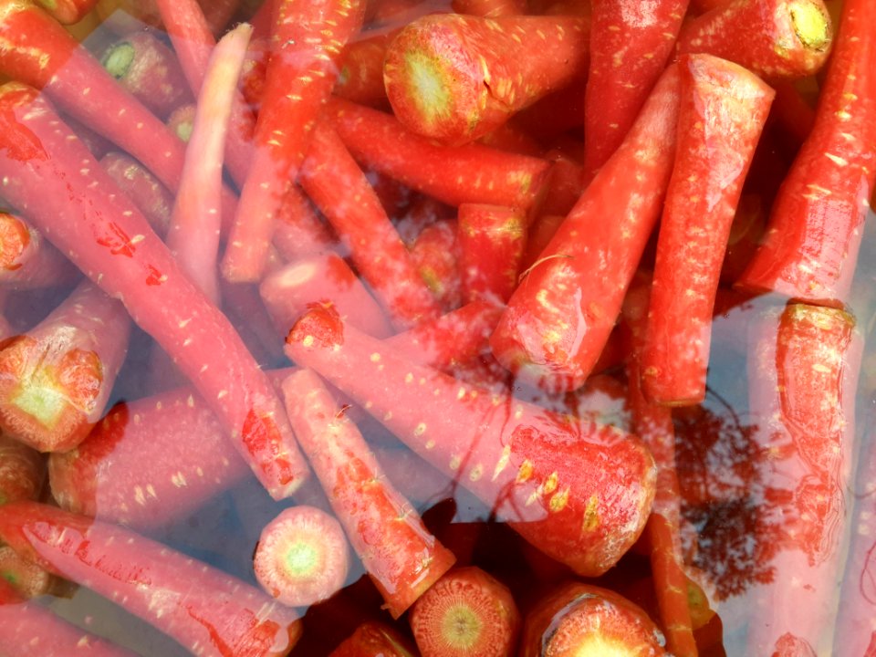 Carrots in water