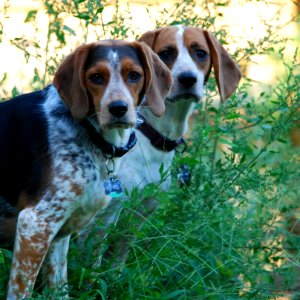 Lucy and Ethel