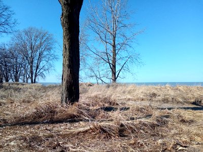 Lakefront