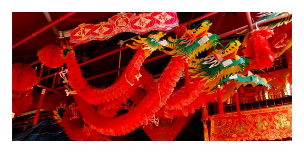 dragon lanterns for mid-autumn festival photo