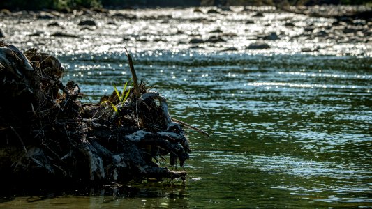 20190807-NRCS-LSC-0128