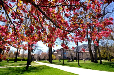 Spring scenic2GA