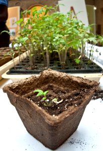 20120515-OC-LSC-0533