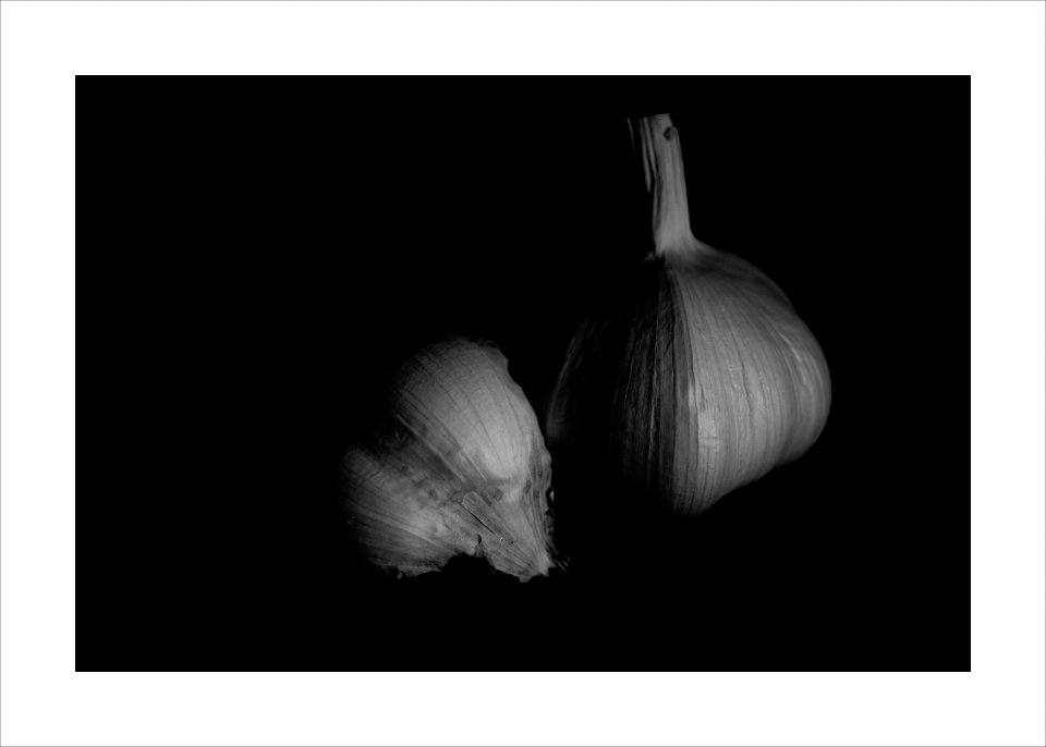 Garlic