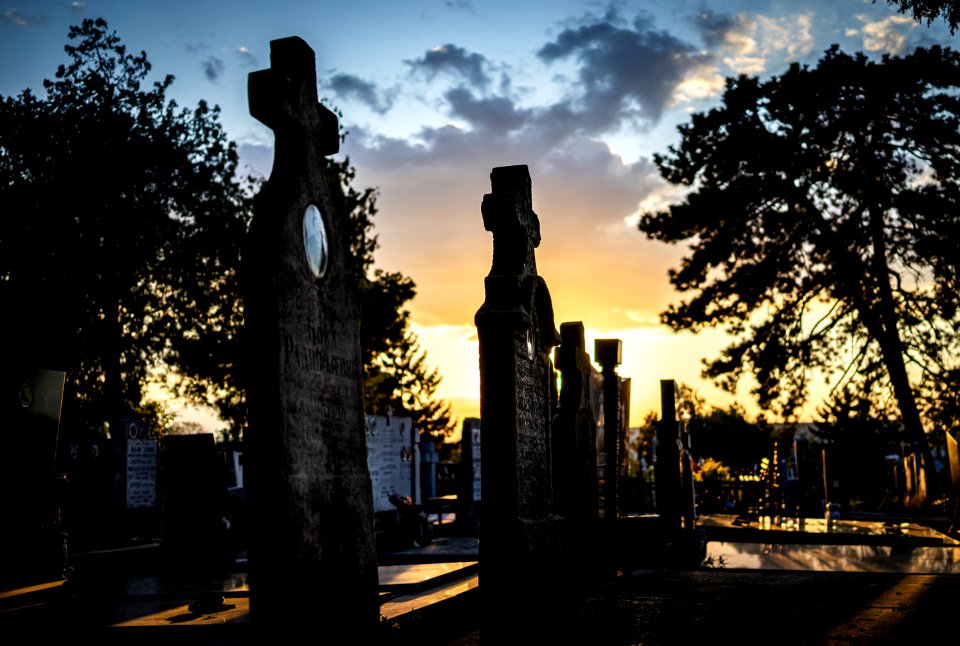 ZEMUN CEMETERY photo