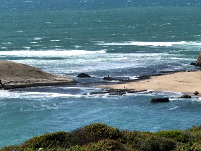 Pigeon Point, California