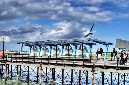 Seagull over Southend pier railway