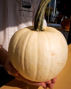 20161021-AMS-LSC-0142