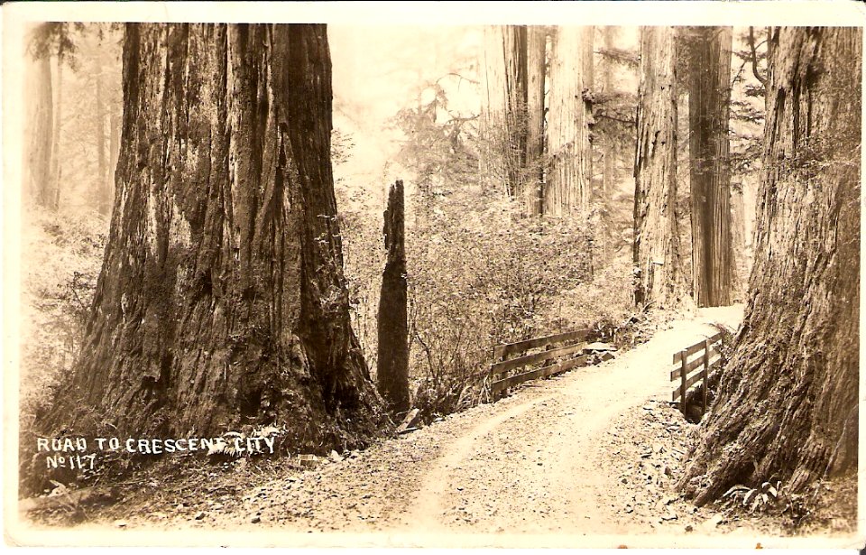 Road to Crescent City