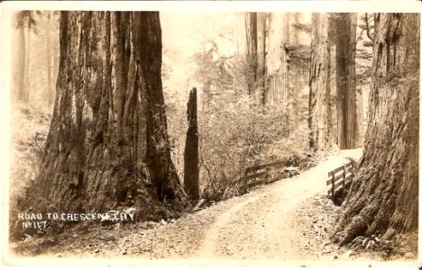 Road to Crescent City