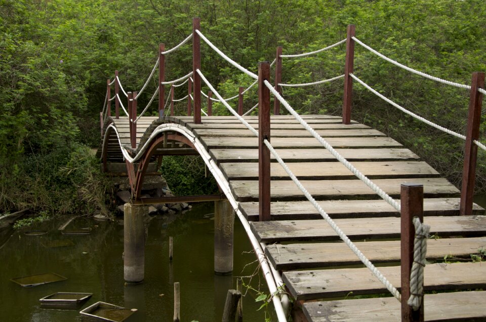 Lake zhuhai university campus