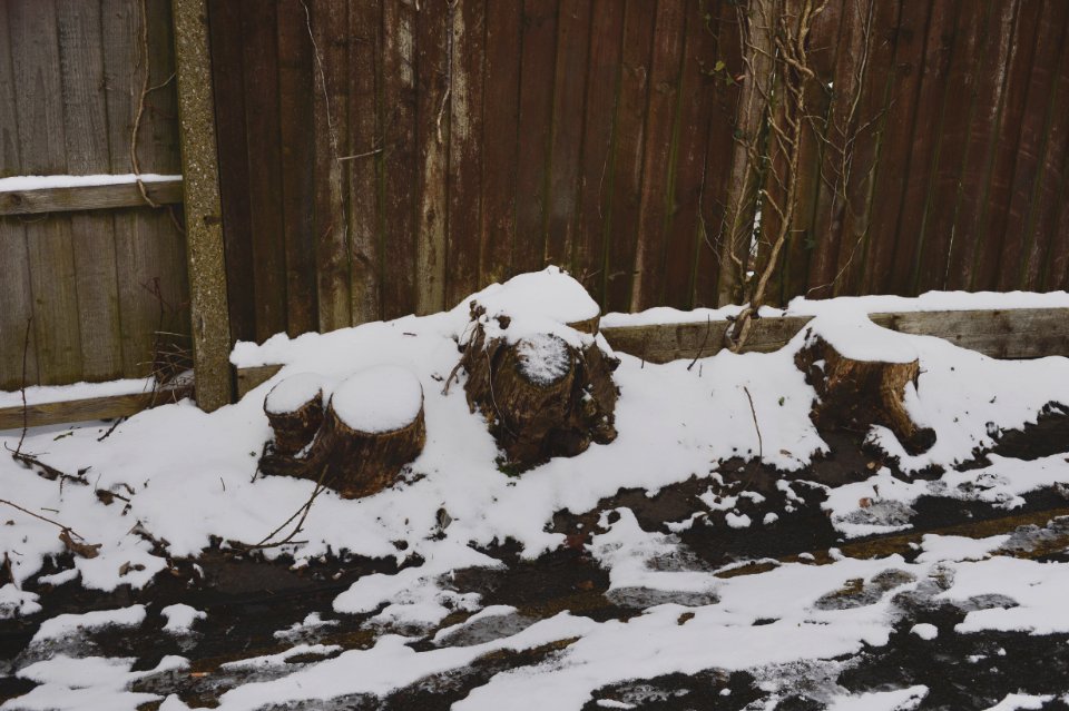 Coulsdon in the Snow