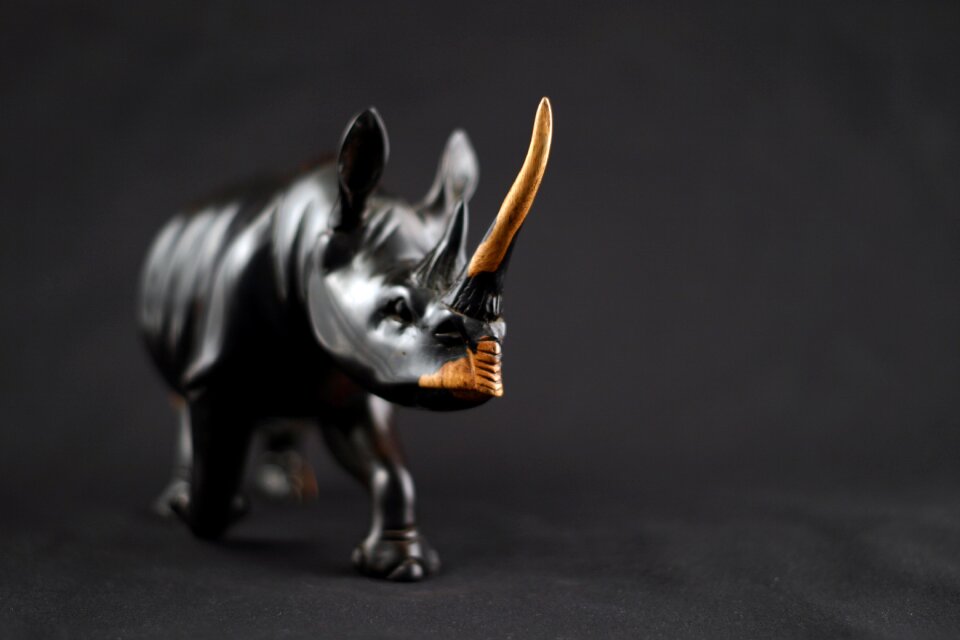 Art indian rhinoceros wood