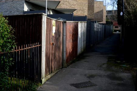 DSC 5871