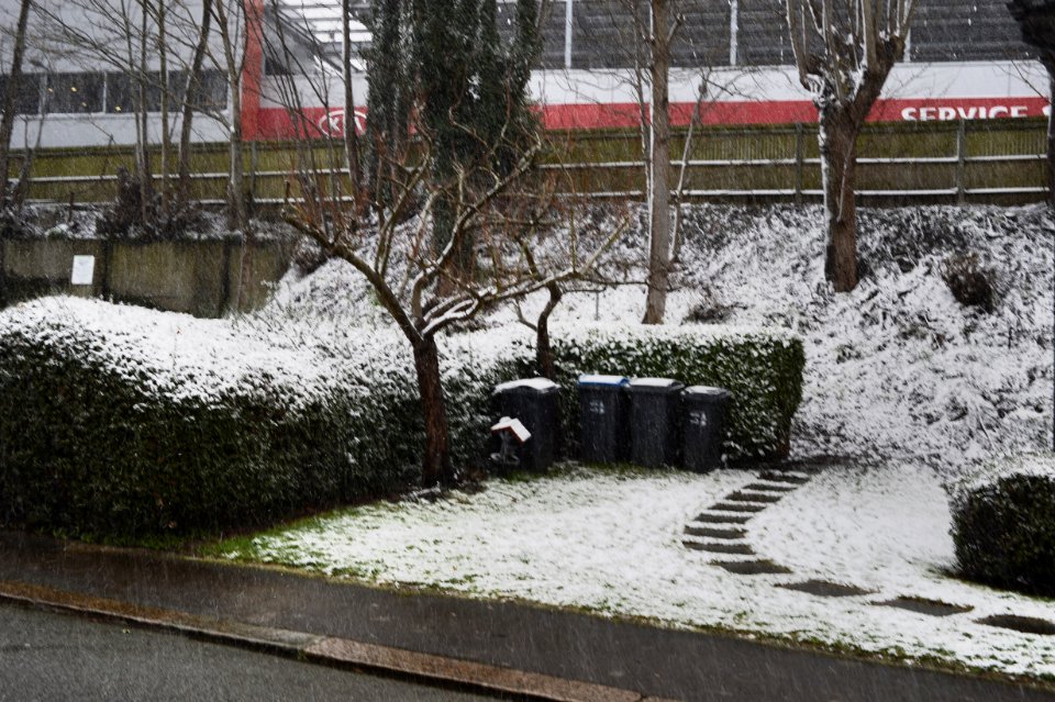 Coulsdon in the Snow