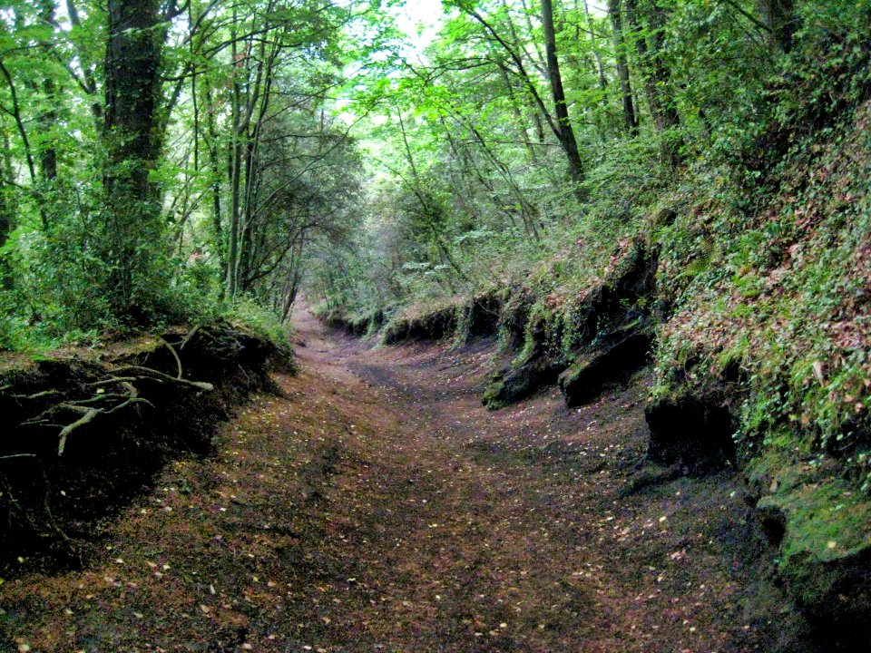 Camí del cràter del volcà de Santa Margarida, Santa Pau, La Garrotxa, Catalunya