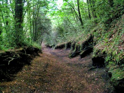 Camí del cràter del volcà de Santa Margarida, Santa Pau, La Garrotxa, Catalunya
