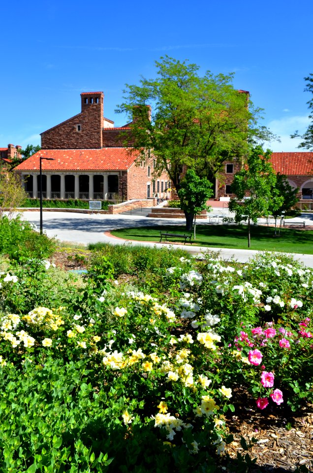 University Memorial Center (UMC)