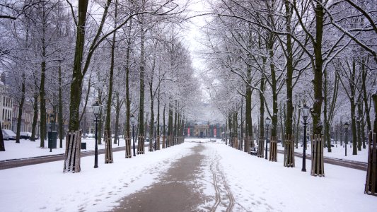 The Hague....fresh snow. photo
