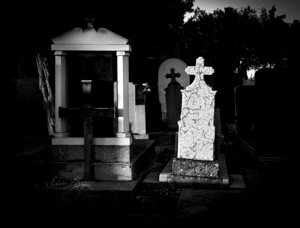 ZEMUN CEMETERY