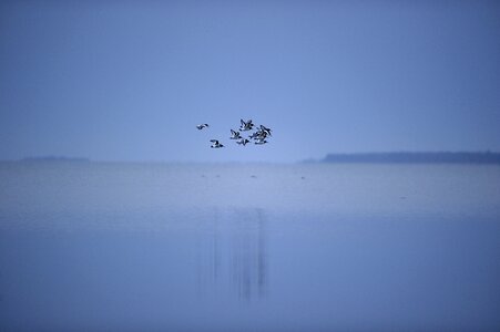 Fly the water the sea