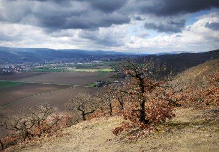 Valley of Berounka river photo