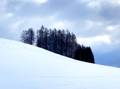 Winter meadow and woods