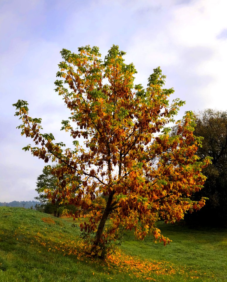 Autumn is here