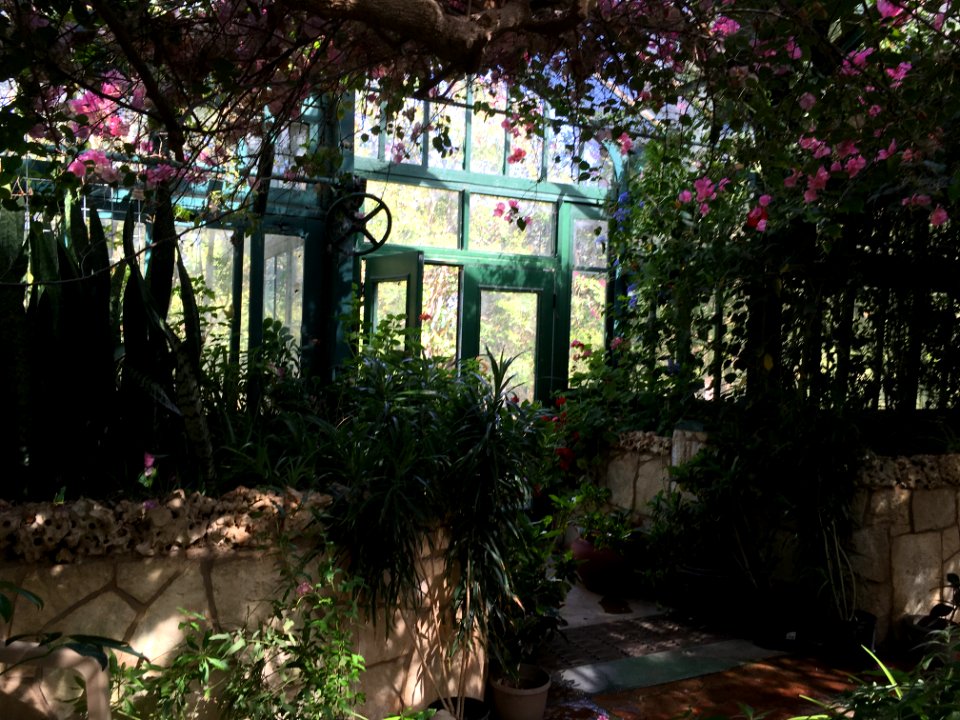 greenhouse interior