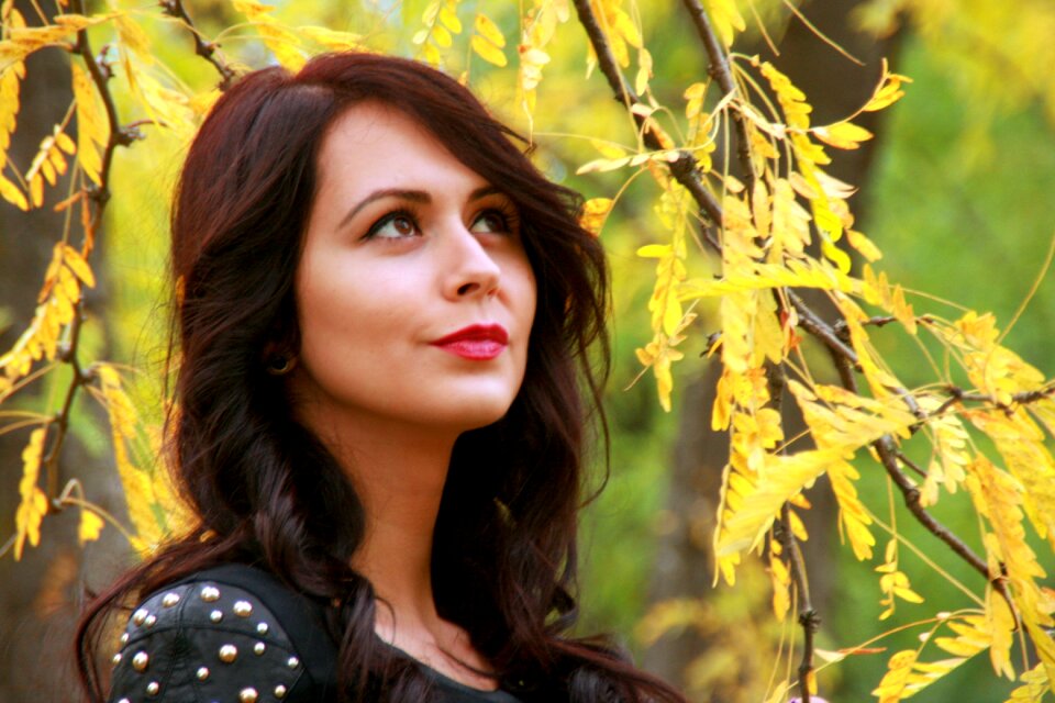 Yellow leaves beauty