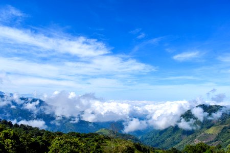 Montañas serranía del perijá codazzi cesar