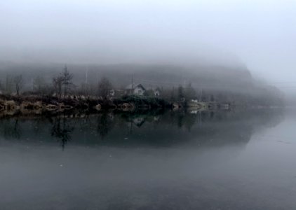 River and fog photo