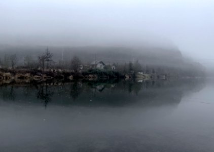 River and fog