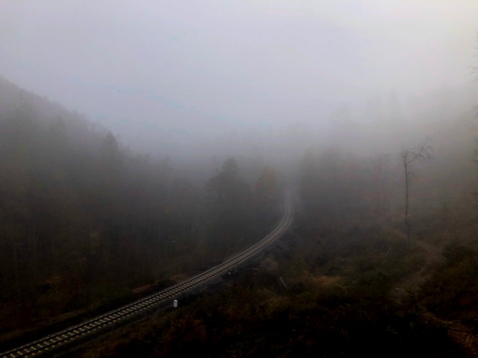Gloomy autumn morning