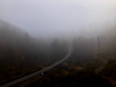 Gloomy autumn morning