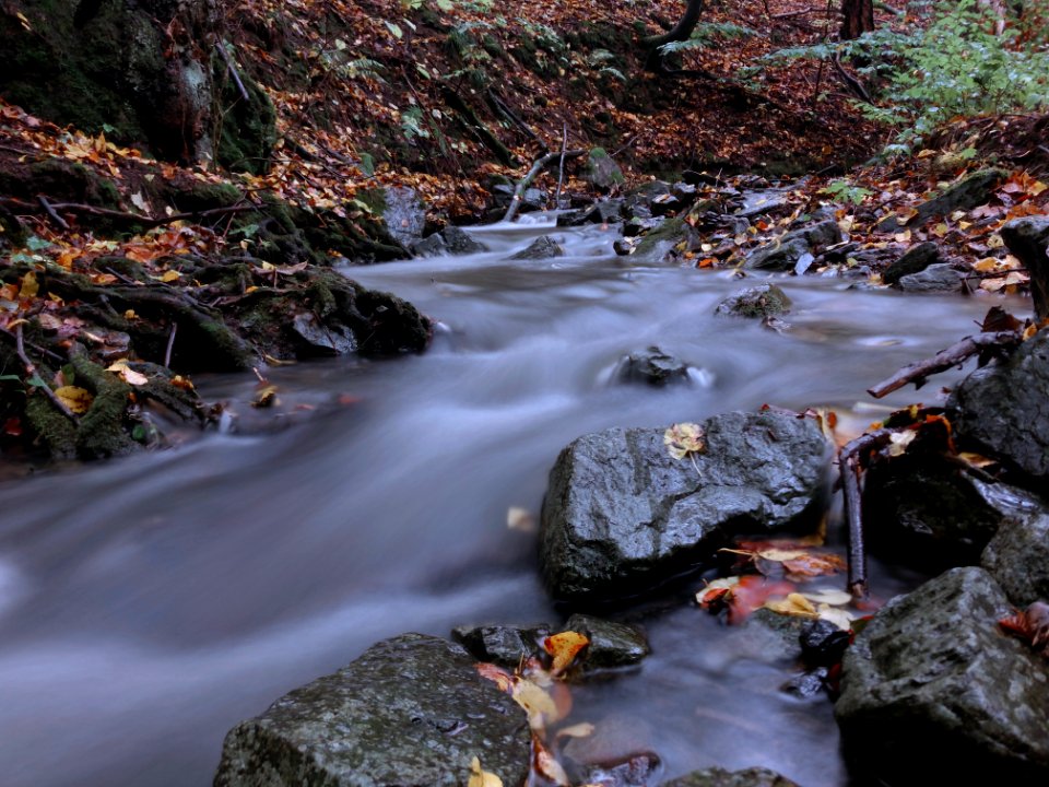 Stream running away. Summer running away. Another year running away. photo