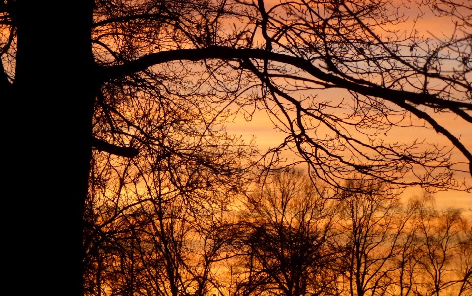 Nature setting sun romance