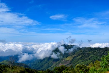 Montañas serranía del perijá codazzi cesar