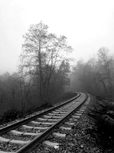 Railway lost in woods and morning fog photo