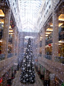It's beginning to look a lot like Christmas everywhere I go...