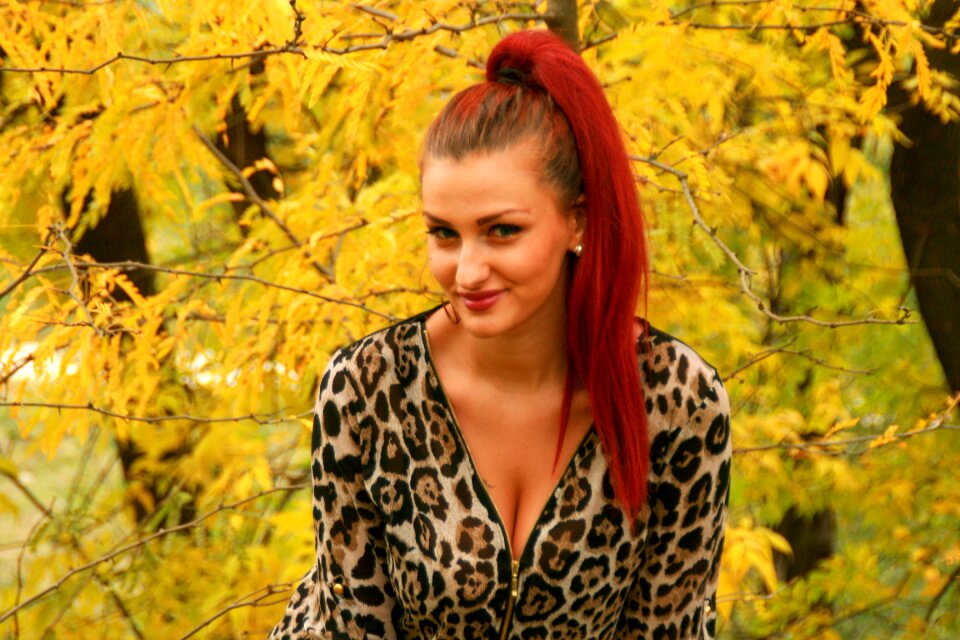 Yellow leaves beauty