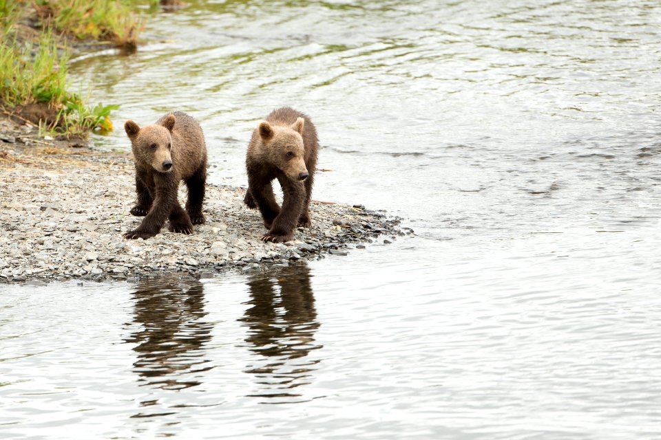 Babies watching mom fish